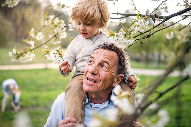 Life Insurance